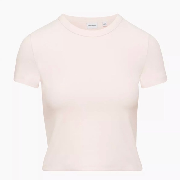 Aritzia Sunday Best Little Ribbed Tee - Picture 1 of 2